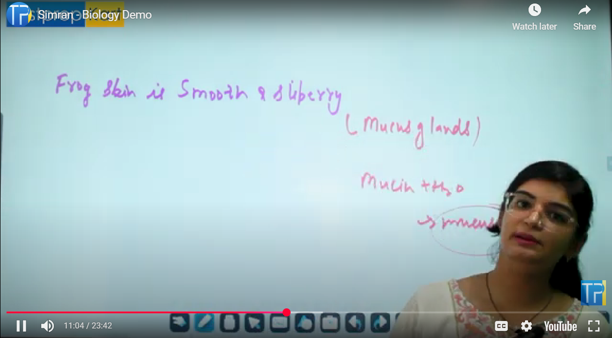 Video Images
